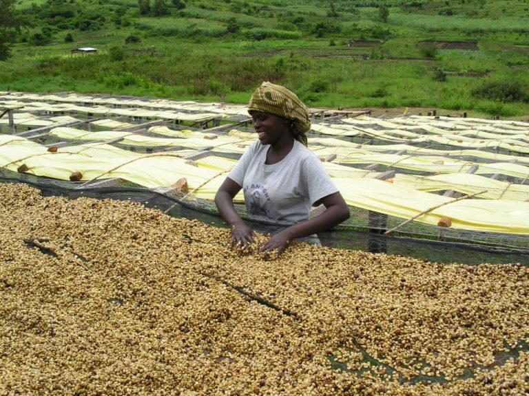 ruanda